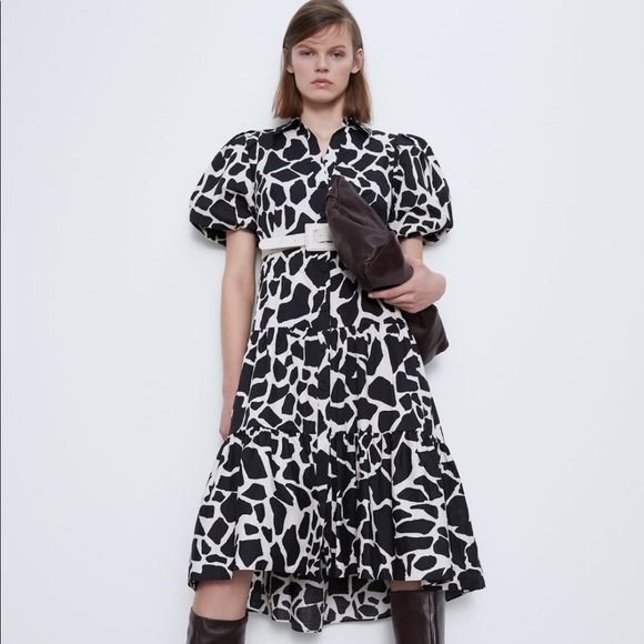 🆕Zara Animal Print Dress Sz M - Picture 1 of 9